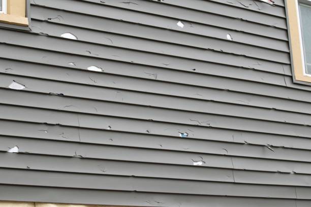 Best Vinyl Siding Installation  in Rhome, TX